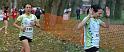 [4] novembre2008, cross_wambrechies_2008, 2 images, dsc_8613 - dsc_8614 - 3953x1682 - SCUL-Smartblend